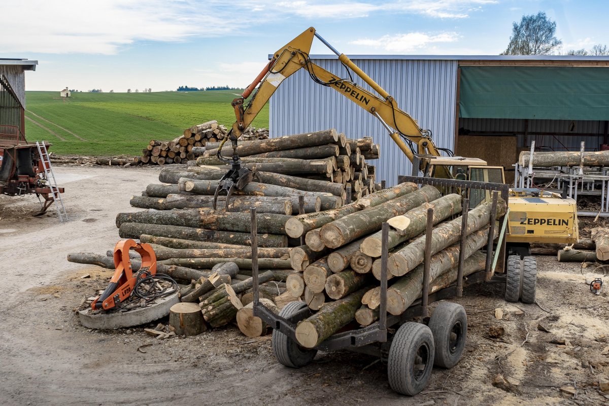 bilder_april_2019_05.jpg