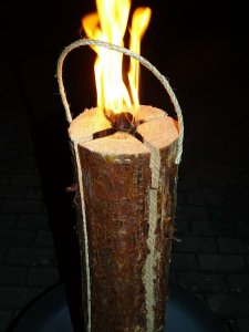 Baumfackel Baumfackel3.jpg