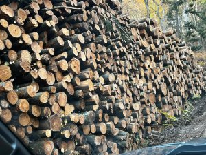 Holzpolter.jpg