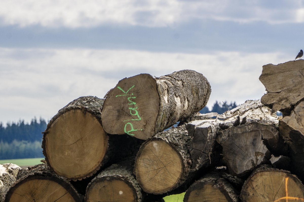 bilder_april_2019_a6_03.jpg